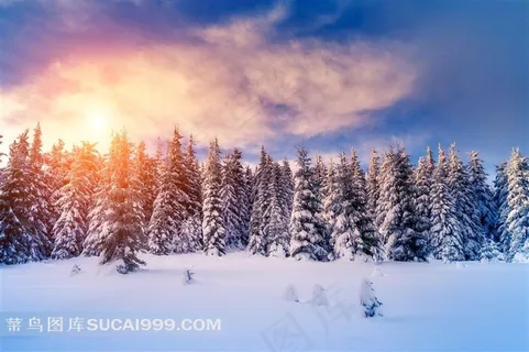 美丽雪山森林风景高清图片 美丽雪山森林风景高清图片
