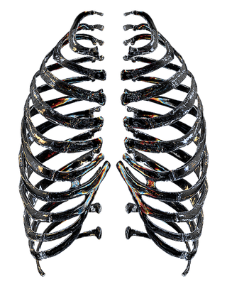 赛博朋克酸性设计风格塑料玻璃透明人体胸膛模型元素_PNG免扣