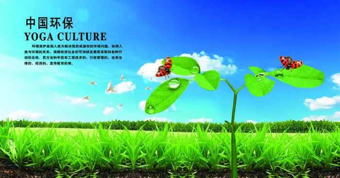 环保 宣传海报psd模版下载