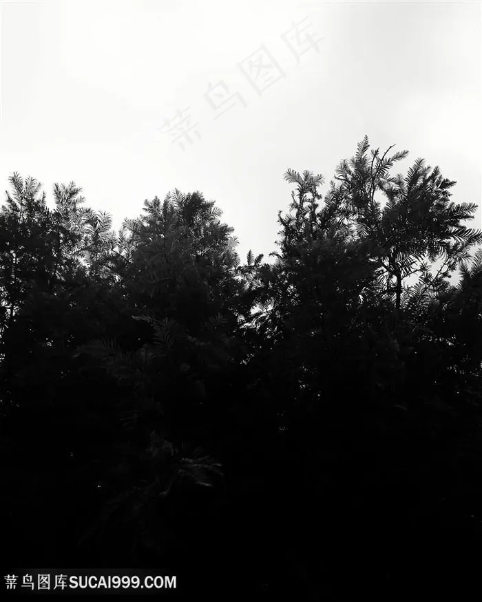 在隐秘的阴天
