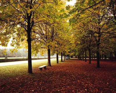 法国道路秋色 法国道路秋色