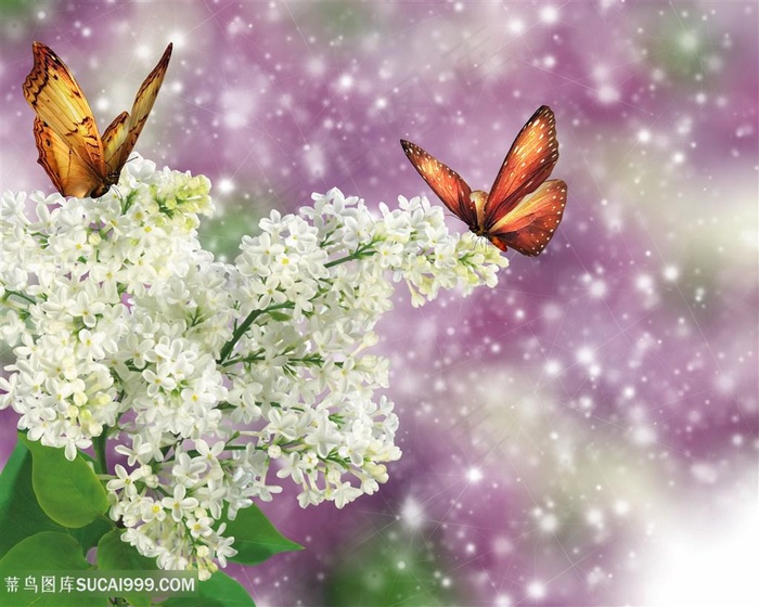 爱如流苏蝶恋花装饰画