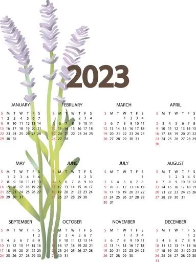 2023 年日历 PNG免抠(4345x5808)