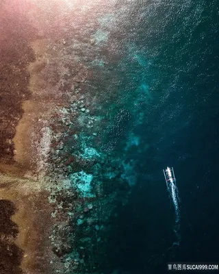 海滩礁石船舶大海图片