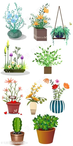 植物花卉插画大全 植物花卉插画大全