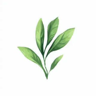 一支绿色的叶子png免抠