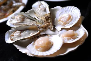 扇贝生蚝美食素材