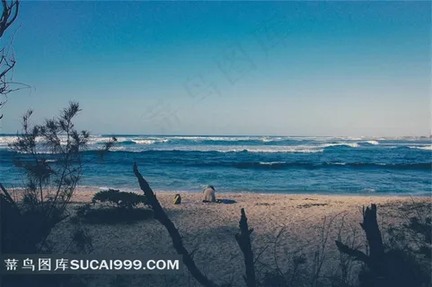 大海海边的风景图片 大海海边的风景图片