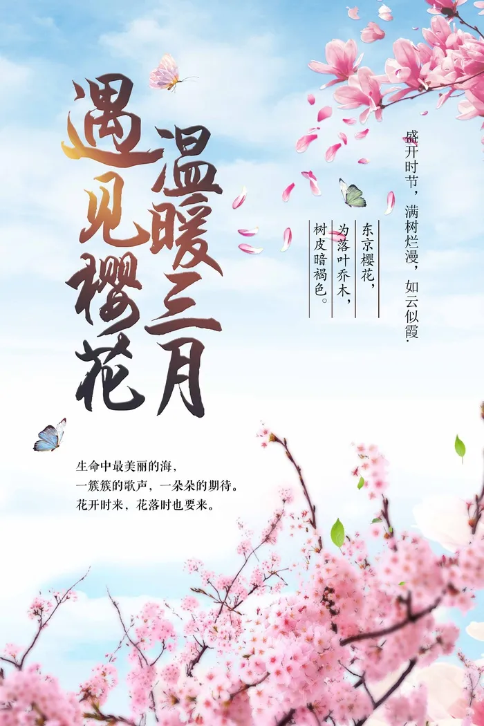 樱花节 樱花节活动海报psd模版下载