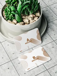 高端大气商务名片样机