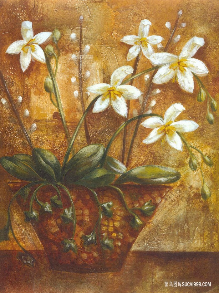 唯美兰花花瓶插画油画