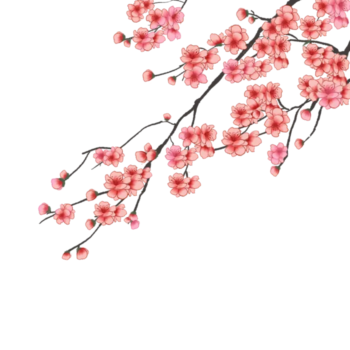 春天浪漫粉红色樱花手绘樱花梅花桃花花朵图片PNG免扣素材