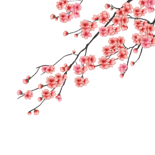 春天浪漫粉红色樱花手绘樱花梅花桃花花朵图片PNG免扣素材