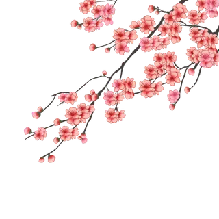 春天浪漫粉红色樱花手绘樱花梅花桃花花朵图片PNG免扣素材