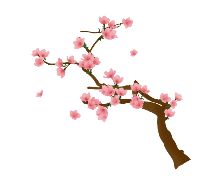 春天浪漫粉红色樱花手绘樱花梅花桃花花朵图片PNG免扣素材