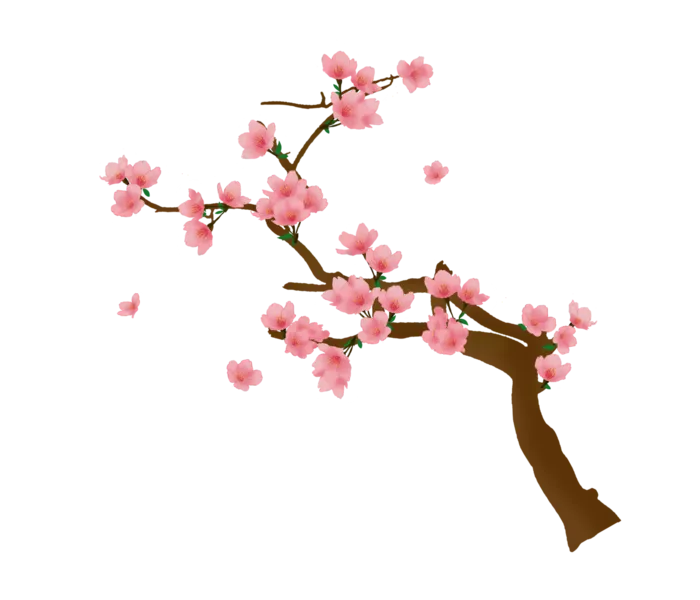 春天浪漫粉红色樱花手绘樱花梅花桃花花朵图片PNG免扣素材