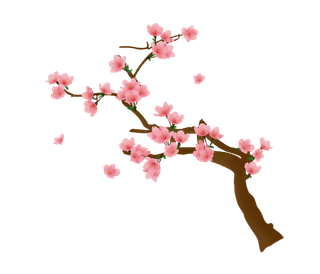 春天浪漫粉红色樱花手绘樱花梅花桃花花朵图片PNG免扣素材