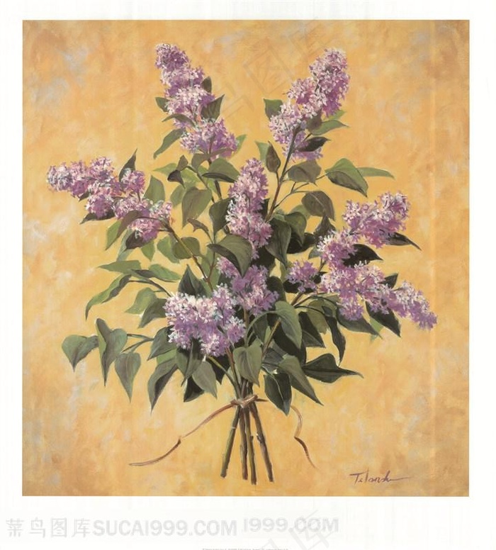 欧美花朵装饰画