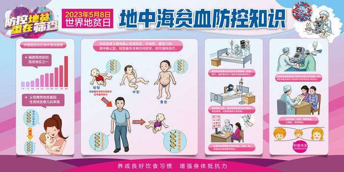 地中海贫血防控知识展板cdr矢量模版下载