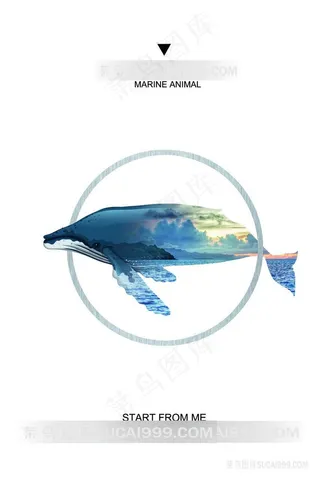 唯美海豚鲸鱼装饰画
