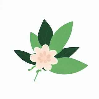 一朵花有绿叶环绕png免抠