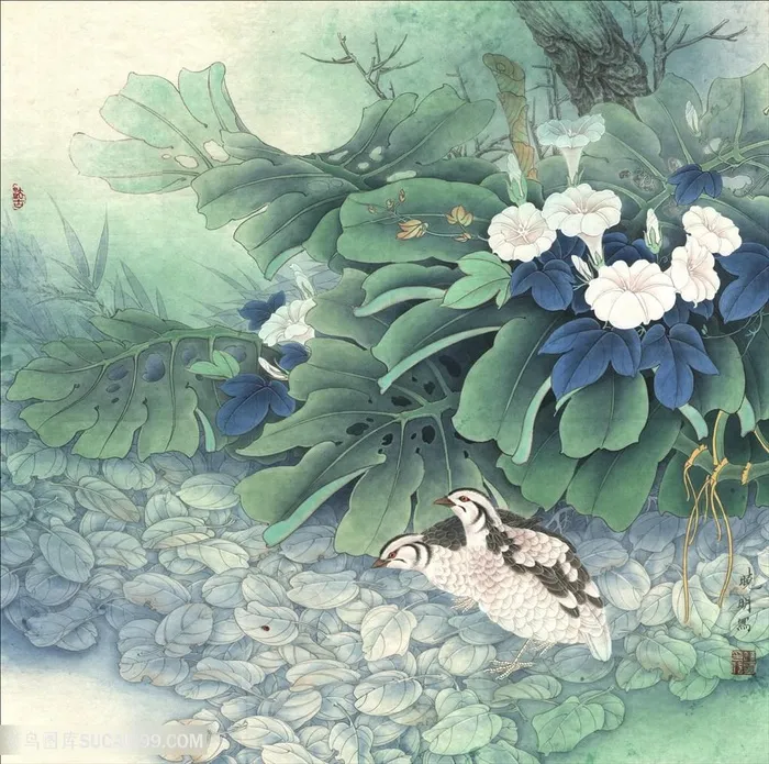 花卉时尚鸟装饰画