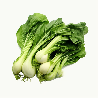 青菜白菜蔬菜摄影图