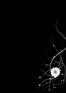 黑底白花简约背景图画册