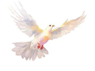 白鸽建军节元素