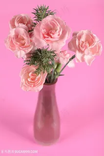 唯美花瓶里的粉色玫瑰花图片玫瑰花图片 唯美花瓶里的粉色玫瑰花图片玫瑰花图片