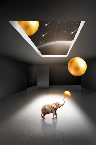 轻奢简约高档大气立体几何吉祥招财大象装饰画