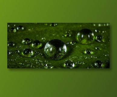 绿色水滴背景图片
