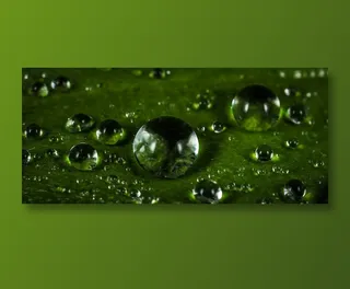 绿色水滴背景图片