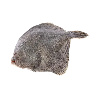 鱼类(73)海鲜超市商品红酒白底图免抠实物摄影png格式图片透明底