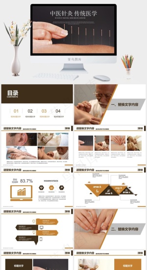 中药中医治病PPT模板ppt模版预览图