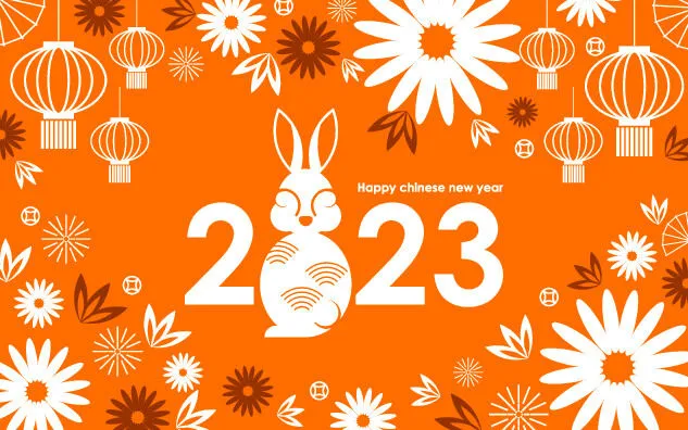 2023新春活动除夕国潮风卡通兔年喜庆新年插画海报PSD设计素材