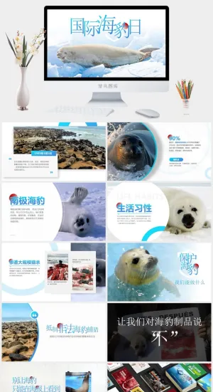 国际海豹日——野生动物保护ppt模板预览图