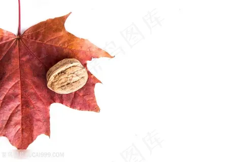树叶和核桃图片