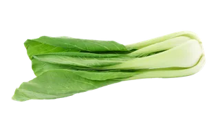 上海青 (21)超市商品白底图免抠实物摄影png格式图片透明底