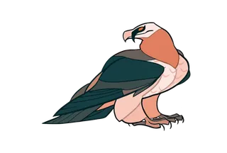 秃鹫卡通简笔画动物