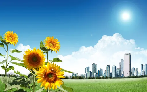 蓝天白云绿草花卉向日会风景 蓝天白云绿草花卉向日会风景