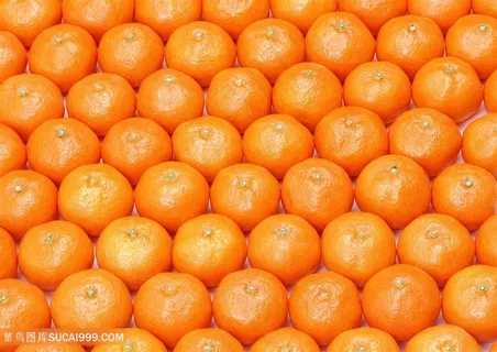 水果橙子平铺高清图