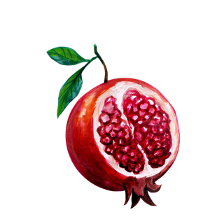 水果水彩画水果免扣素材石榴