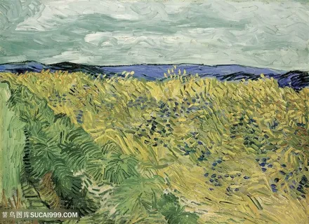 梵高田野风景油画图片 梵高田野风景油画图片