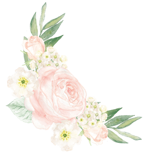 唯美森系手绘水彩花朵 免抠