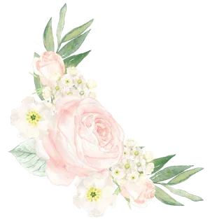 唯美森系手绘水彩花朵 免抠