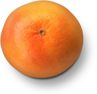 59食材|厨房|食品|百货|美食|免扣