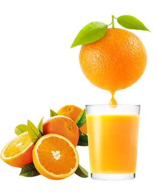 免抠新鲜水果橙子橙汁