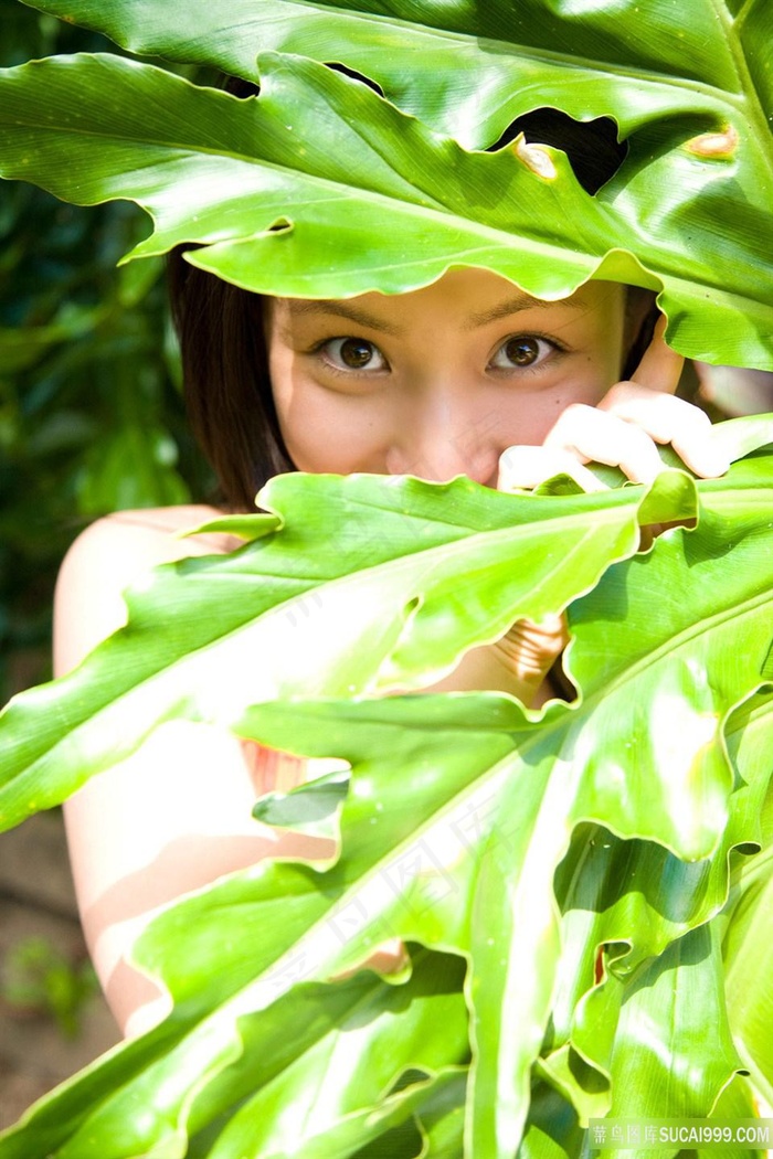 藏在树叶里的日本可爱女生美女图片