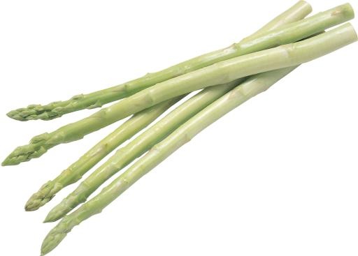 芦笋 PNG免抠